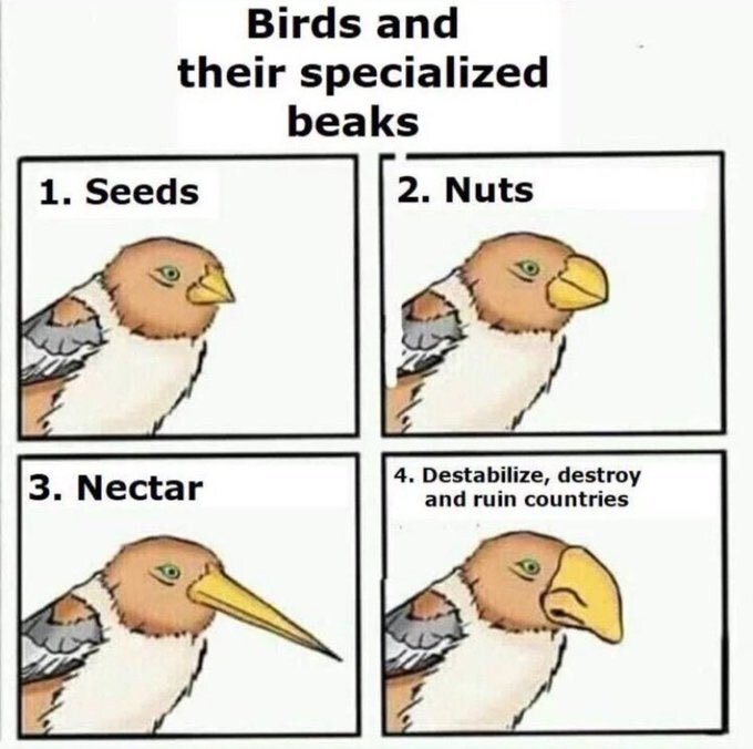 oiseau bec nez jifu judoka qui sioniste talmud