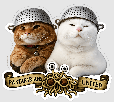 chat-errant-pnj