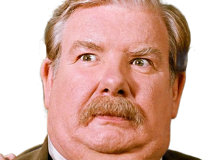 richard griffiths harry potter vernon dursley moustache gros oncle britannique fic bloop