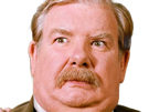 richard-griffiths-harry-potter-vernon-dursley-moustache-gros-oncle-britannique-fic-bloop
