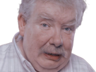 richard-griffiths-harry-potter-vernon-dursley-moustache-gros-oncle-britannique-fic-bloop