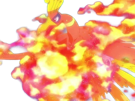 ho-oh-ho-oh-houou-pokemon-pkm-legendaire-type-feu-vol-2g-johto-arcenciel