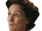 fiona-shaw-harry-potter-petunia-dursley-tante-irlandaise-fic-bloop
