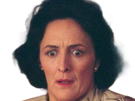fiona-shaw-harry-potter-petunia-dursley-tante-irlandaise-fic-bloop