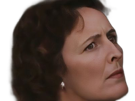fiona-shaw-harry-potter-petunia-dursley-tante-irlandaise-fic-bloop
