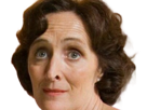 fiona-shaw-harry-potter-petunia-dursley-tante-irlandaise-fic-bloop