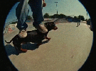 perro-board-skate-surf-tricks-spectacle-salto-boing-cascade-roller-sports-saute-tech-180-360