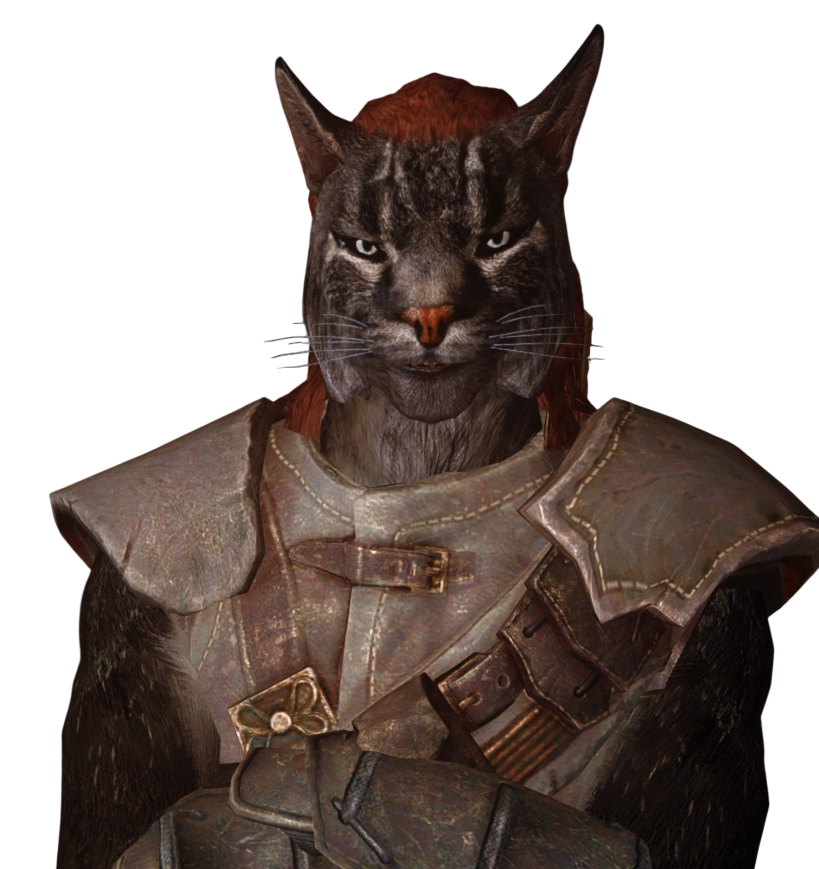skyrim voleur