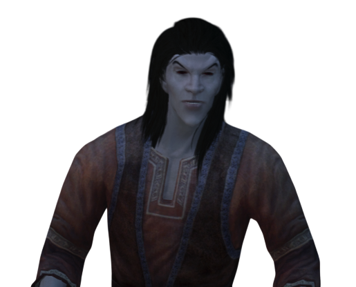 skyrim elfe