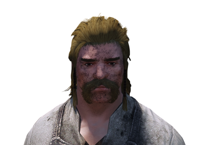 skyrim forgeron