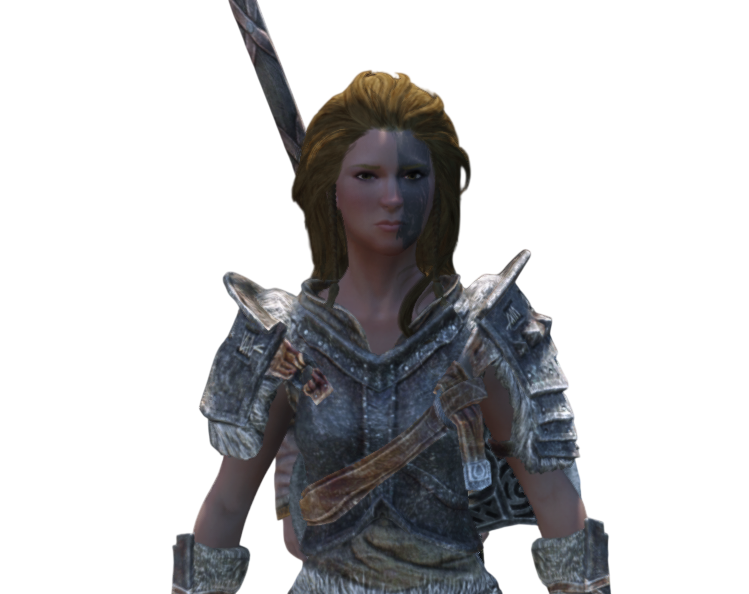 skyrim guerrier