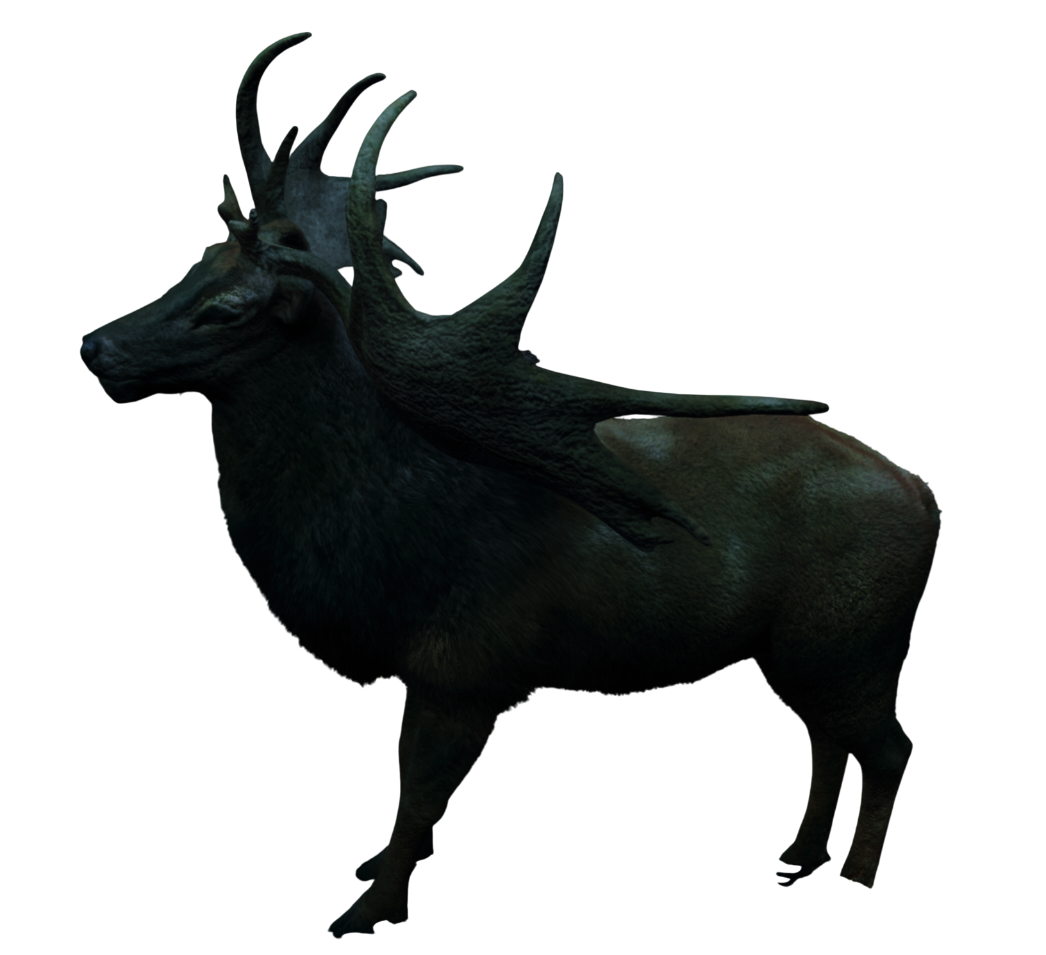 skyrim cerf