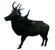 skyrim-cerf