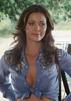 lynda-carter-milfed-actriz-famosa-tvshow-kino-fame-celeb-people-vintage-wond-asteria-moira-azura