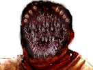 risitas-horreur-immondice-gange-ganged-backrooms-monstre-backrooment-trauma