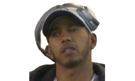 lewis-hamilton