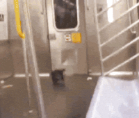 metro rer sac plastisue danse