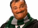 risitas-harry-potter-poudlard-hogwarts-serpentard-slytherin-echarpe-eggish