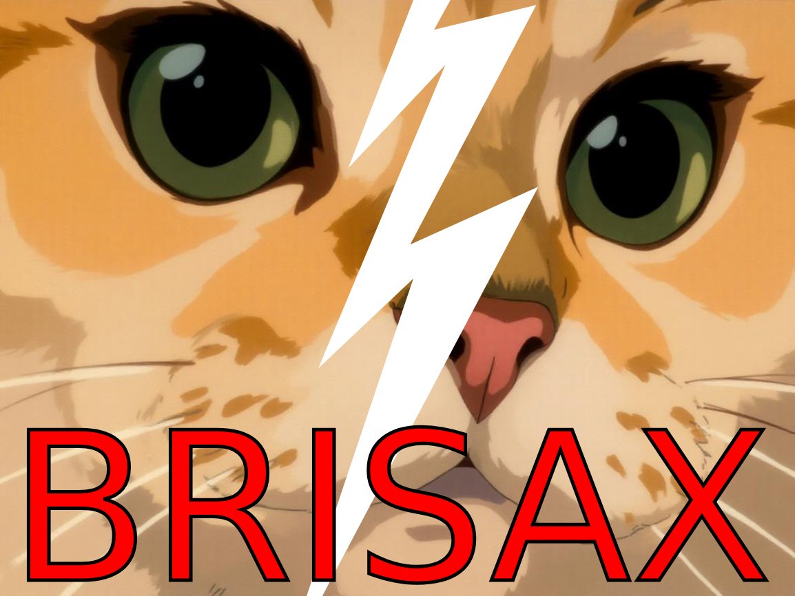 chat roux minette brisee brisax