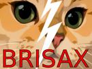 chat-roux-minette-brisee-brisax
