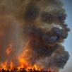 pyro-grille-flame-feux-fuego-lava-crame-inferno-kolasi-volcan-celsius-four-oven-degre-fry