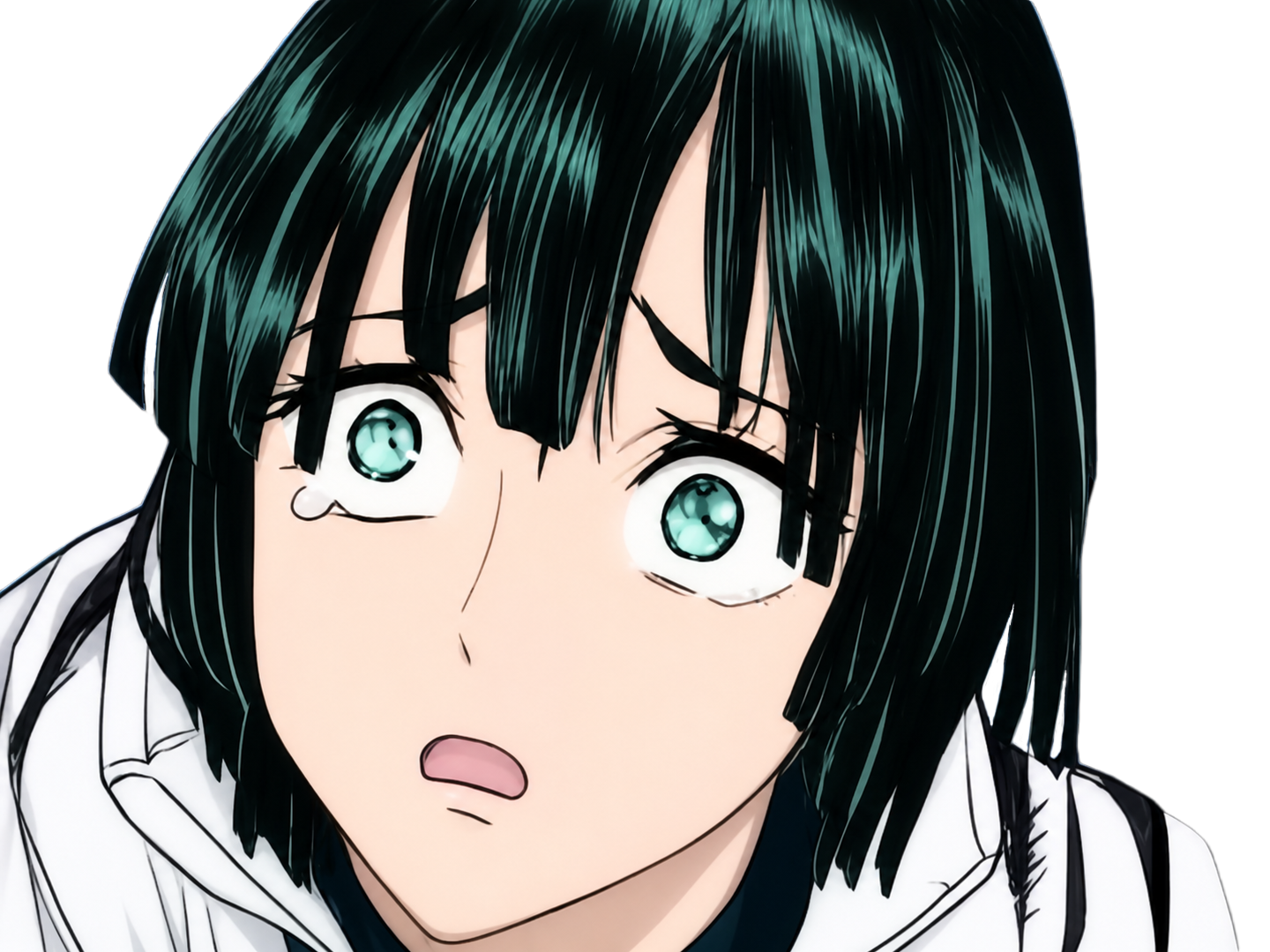 moupe miya fubuki opm one punch man manga anime waifu roxane blizzard infernal murata