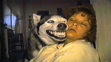 sourir jpg gh0st horror miedo afraid spirit zombi evil muerto cave couloir egout urbex perro