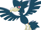 cornebre-murkrow-yamikarasu-pokemon-pkm-jeu-anime-type-tenebres-vol-2g-johto-obscurite