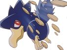 cornebre-murkrow-yamikarasu-pokemon-pkm-jeu-anime-type-tenebres-vol-2g-johto-obscurite