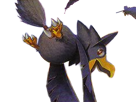 cornebre-murkrow-yamikarasu-pokemon-pkm-jeu-anime-type-tenebres-vol-2g-johto-obscurite
