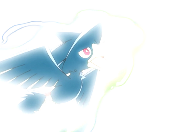 cornebre murkrow yamikarasu pokemon pkm jeu anime type tenebres vol 2g johto obscurite