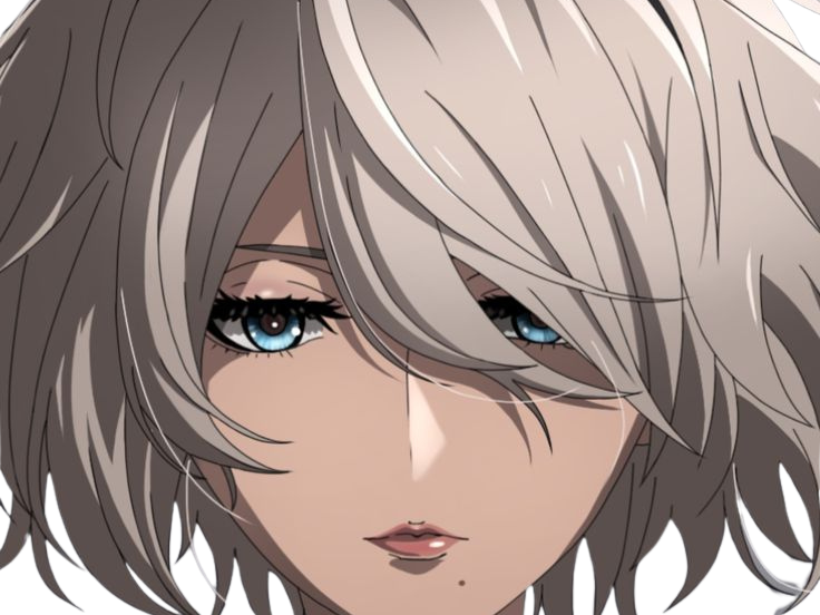 2b nier automata cheveux blanc yeux bleu opale de brienne fic bloop