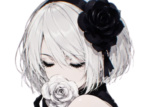 2b nier automata cheveux blanc yeux bleu opale de brienne fic bloop