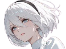 2b nier automata cheveux blanc yeux bleu opale de brienne fic bloop