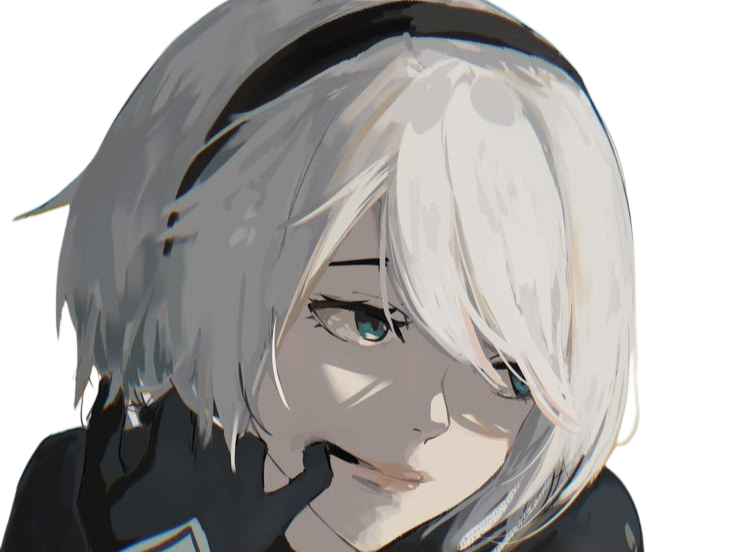 2b nier automata cheveux blanc yeux bleu opale de brienne fic bloop