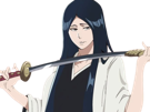 unohana-retsu-bleach-cheveux-noir-yeux-bleu-uranie-de-broglie-fic-bloop