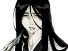 unohana-retsu-bleach-cheveux-noir-yeux-bleu-uranie-de-broglie-fic-bloop