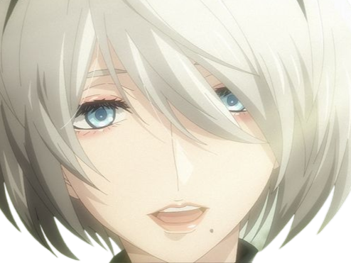 2b nier automata cheveux blanc yeux bleu opale de brienne fic bloop