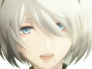 2b-nier-automata-cheveux-blanc-yeux-bleu-opale-de-brienne-fic-bloop