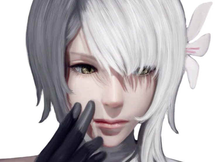 kaine nier automata cheveux blanc frange coralie de brienne fic bloop