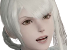 kaine-nier-automata-cheveux-blanc-frange-coralie-de-brienne-fic-bloop