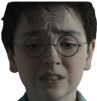 harry-potter-hbo-serie-victime-clebs-pute