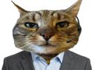 rebondchatmort-chat-bourser-bourse-nasdaq-trading-btc