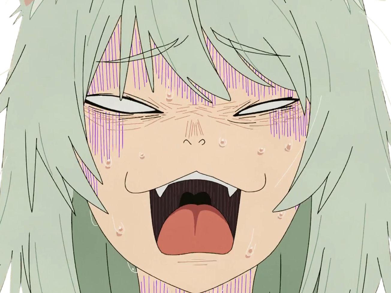 chainsmoker cat yani neko yanineko yaniko sato