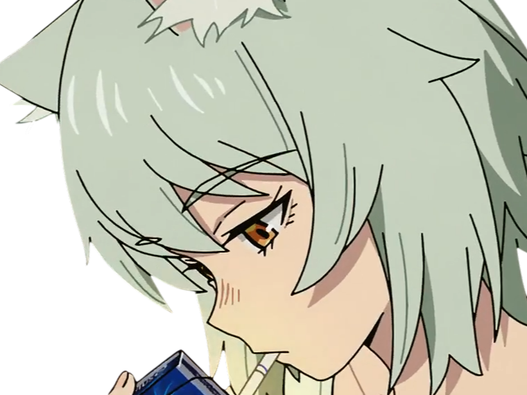 chainsmoker cat yani neko yanineko yaniko sato