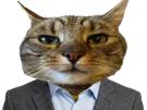 chat-bourse-nasdaq-pea-cto-donbourse