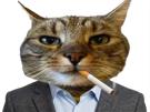 chat-bourse-nasdaq-pea-cto-donbourse-cigarette