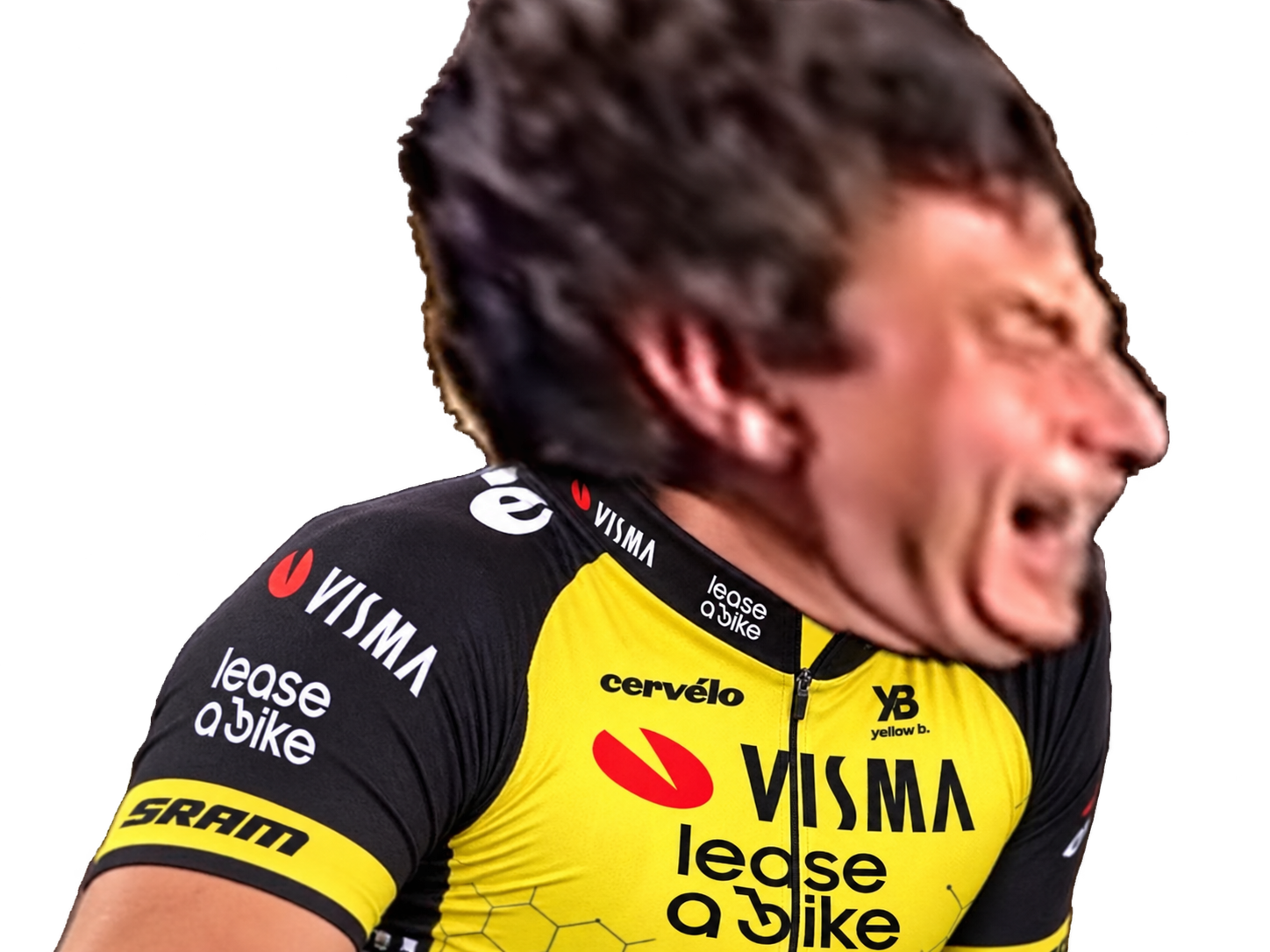 gobelin jesus visma cyclisme lease a bike qui se souvient