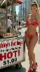 murica-liberty-redneck-conf-kkk-capitol-eagle-washington-bowl-nyc-dollar-sherif-hollywood-donuts-hotdog