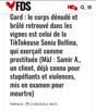 media-divers-alloc-caf-gred-sait-cotise-tlm-remplace-taxe-oqtf-visa-nigga-heil-tonton